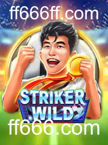Explorando o Universo de StrikerWILD